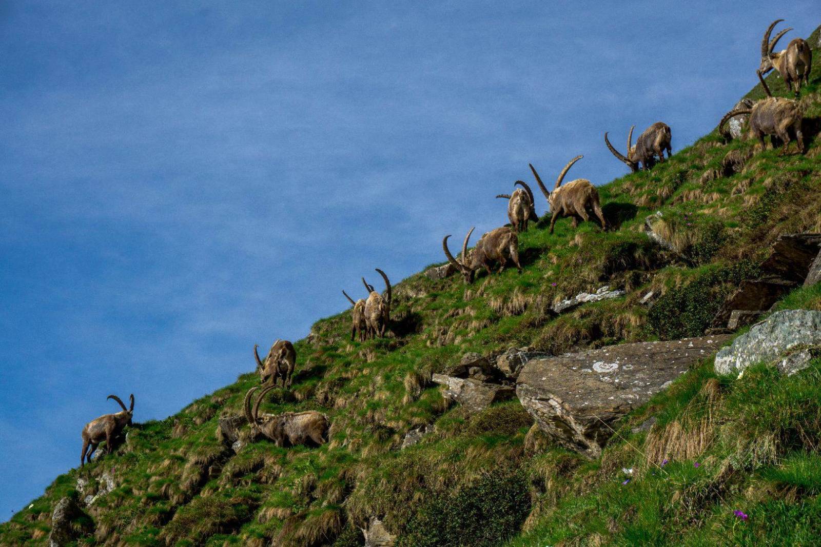 Trekking per Gruppi Trekking per Gruppi