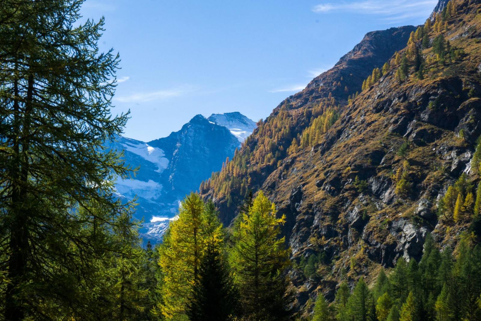 monte bianco comfort courmayeur