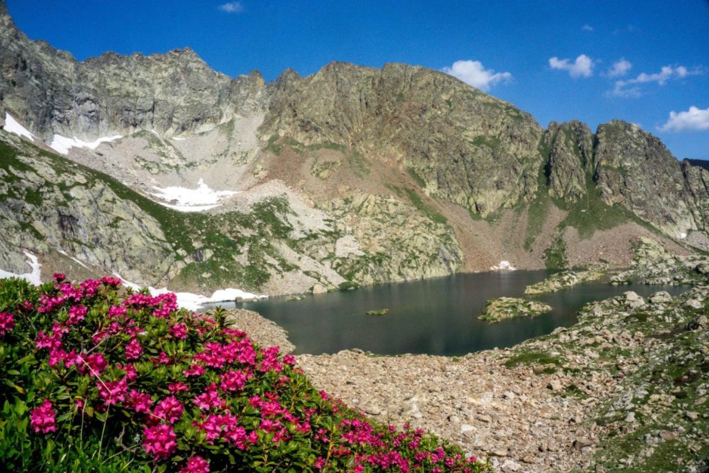 Israeliani e Palestinesi insieme