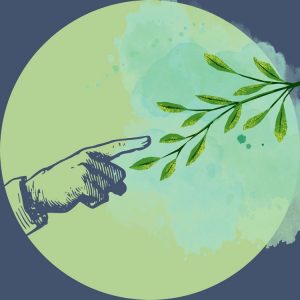 corso di botanica online