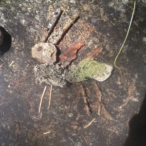 in giornata educazione ambientale scuole gita creatività natura uscita scolastica bambini studenti ragazzi trekking alpi