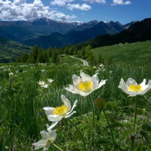 Trekking Alpi Escursioni4 calendario maggio