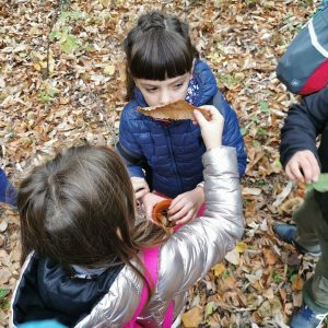 scuola dell'infanzia educazione ambientale odore del bosco