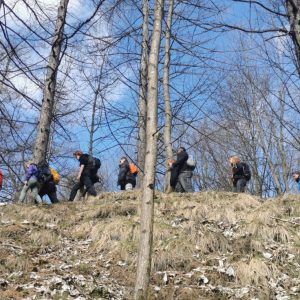 ragazzi che passeggiano nel bosco sulle Alpi