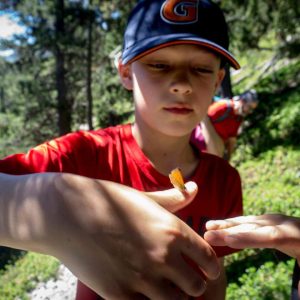 trekking per famiglie natura torino