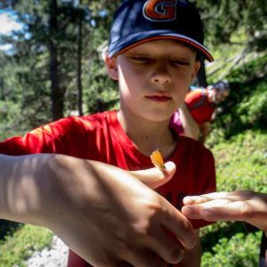 trekking per famiglie 1 trekking per famiglie natura torino