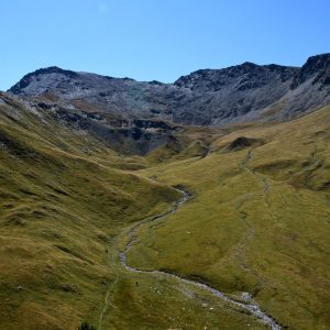 trekking alpi occidentali punta nera escursioni camminate vette 3000 metri